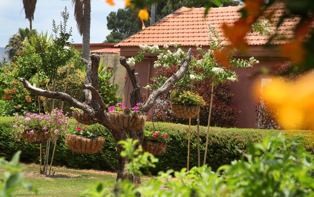 Shaar Hagolan Kibbutz Country Lodging Esterno foto