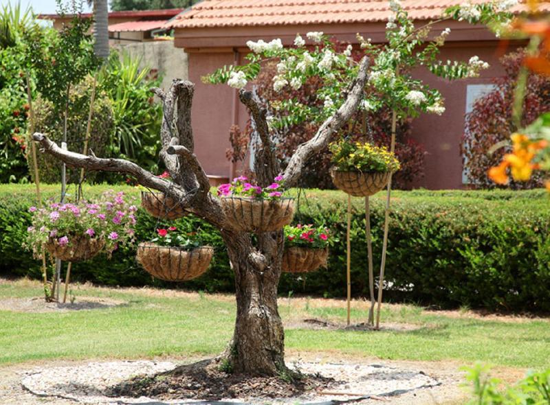 Shaar Hagolan Kibbutz Country Lodging Esterno foto
